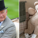 Image for article titled King Charles Won't Go Anywhere Without His Teddy Bear and Custom Toilet Seat